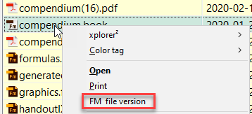 Context menu of FMfileVersion